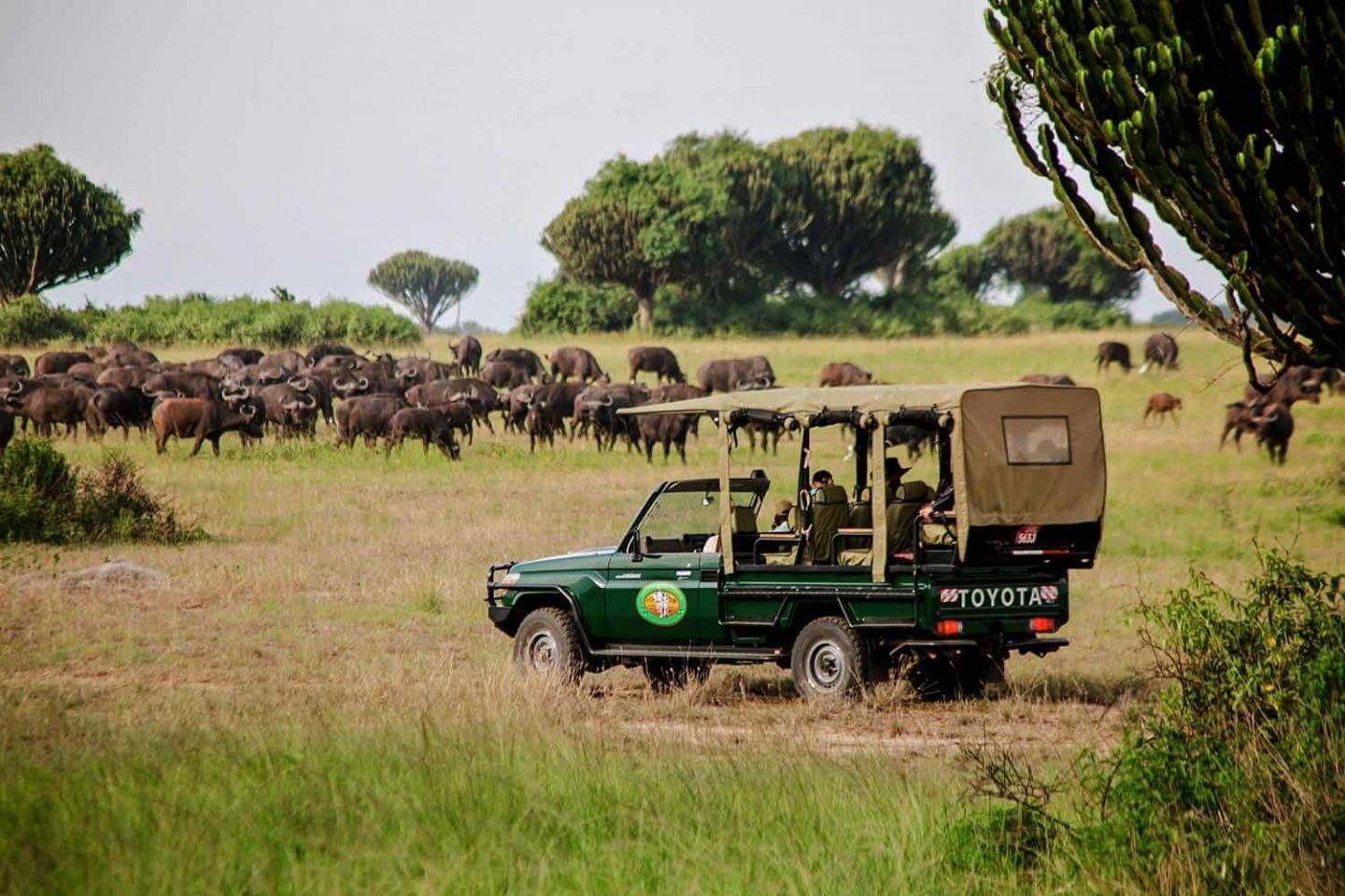 mweyasafarilodge